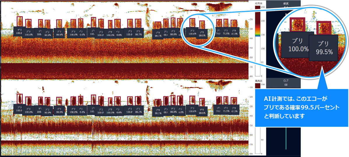 AI計測では、このエコーがブリである確率99.5パーセントと判断しています