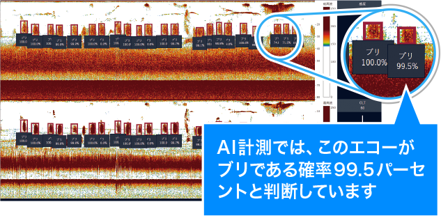 AI計測では、このエコーがブリである確率99.5パーセントと判断しています